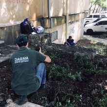Embellecimiento, recuperaci&oacute;n de espacios  verdes y nuevos jardines para Cali