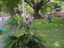 Embellecimiento, recuperaci&oacute;n de espacios  verdes y nuevos jardines para Cali