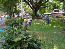 Embellecimiento, recuperaci&oacute;n de espacios  verdes y nuevos jardines para Cali