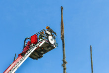 Dagma sigue trabajos para recuperar el verde de la Plaza de Cayzedo