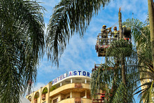 Dagma sigue trabajos para recuperar el verde de la Plaza de Cayzedo