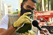 Dagma sigue trabajos para recuperar el verde de la Plaza de Cayzedo