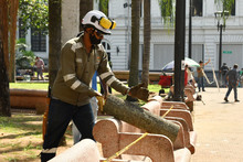 Dagma sigue trabajos para recuperar el verde de la Plaza de Cayzedo