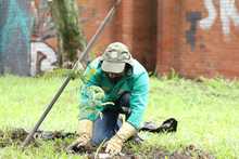 Movilidad y Dagma realizaron &lsquo;Plantat&oacute;n&rsquo; para conmemorar el &lsquo;D&iacute;a Internacional del Aire Limpio&rsquo;