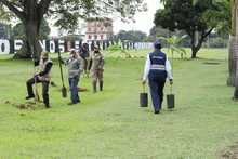 Movilidad y Dagma realizaron &lsquo;Plantat&oacute;n&rsquo; para conmemorar el &lsquo;D&iacute;a Internacional del Aire Limpio&rsquo;