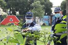 Movilidad y Dagma realizaron &lsquo;Plantat&oacute;n&rsquo; para conmemorar el &lsquo;D&iacute;a Internacional del Aire Limpio&rsquo;