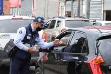 Movilidad y Dagma realizaron &lsquo;Plantat&oacute;n&rsquo; para conmemorar el &lsquo;D&iacute;a Internacional del Aire Limpio&rsquo;