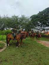 Entornos educativos seguros, la apuesta del gobierno de Puro Coraz&oacute;n por Cali 