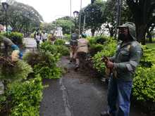 Inici&oacute; recuperaci&oacute;n integral del parque Versalles