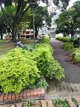 Inici&oacute; recuperaci&oacute;n integral del parque Versalles