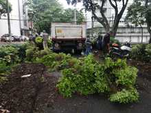 Inici&oacute; recuperaci&oacute;n integral del parque Versalles