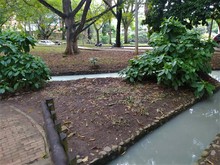 Dagma inicia proceso sancionatorio por vertimiento ilegal en cuerpo de agua de la comuna 22