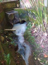 Dagma inicia proceso sancionatorio por vertimiento ilegal en cuerpo de agua de la comuna 22