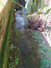 Dagma inicia proceso sancionatorio por vertimiento ilegal en cuerpo de agua de la comuna 22