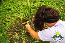 462 j&oacute;venes bajo el sistema de responsabilidad penal fortalecen sus talentos