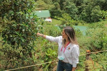 El turismo cale&ntilde;o se impulsar&aacute; con bosques m&aacute;gicos y avistamiento de aves
