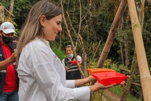 El turismo cale&ntilde;o se impulsar&aacute; con bosques m&aacute;gicos y avistamiento de aves