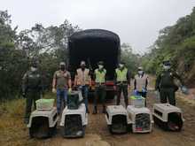 Liberaciones de fauna silvestre decomisada por tr&aacute;fico ilegal 