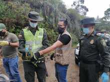 Liberaciones de fauna silvestre decomisada por tr&aacute;fico ilegal 