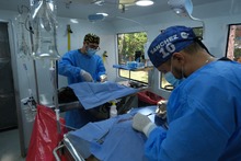 M&aacute;s de 3000 cupos para esterilizaci&oacute;n de mascotas en la comuna 21