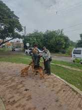 La Jos&eacute; Mar&iacute;a Carbonell capacita a otras instituciones en resoluci&oacute;n de conflictos y mediaci&oacute;n escolar