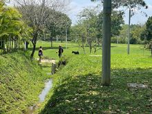 Cali respira aire renovado con el nuevo pulm&oacute;n verde para la ciudad