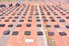 Tasa diaria de homicidios se redujo en primeros cinco d&iacute;as del despliegue operacional contra el delito