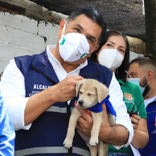 Ovaci&oacute;n a Administraci&oacute;n Distrital por atenci&oacute;n a los animales de compa&ntilde;&iacute;a de la poblaci&oacute;n en situaci&oacute;n de calle 