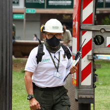 Intervienen 21 palmas zanconas en la Plaza de Cayzedo 