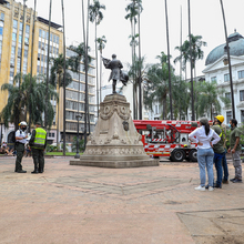 Intervienen 21 palmas zanconas en la Plaza de Cayzedo 