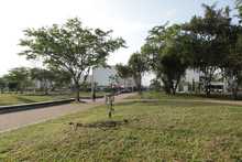 Ciudad Pac&iacute;fica cuenta desde hoy con un nuevo pulm&oacute;n verde