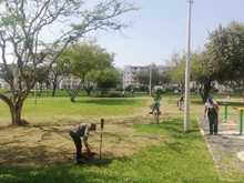 Ciudad Pac&iacute;fica cuenta desde hoy con un nuevo pulm&oacute;n verde