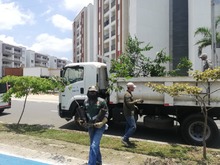 Ciudad Pac&iacute;fica cuenta desde hoy con un nuevo pulm&oacute;n verde