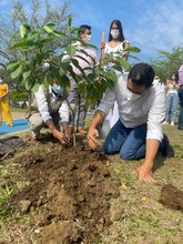 Ciudad Pac&iacute;fica cuenta desde hoy con un nuevo pulm&oacute;n verde