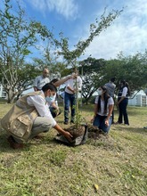 Ciudad Pac&iacute;fica cuenta desde hoy con un nuevo pulm&oacute;n verde