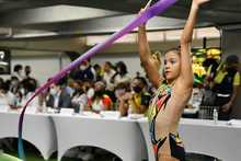 Comit&eacute; Articulador garantizar&aacute; la realizaci&oacute;n exitosa del evento deportivo juvenil m&aacute;s importante del continente