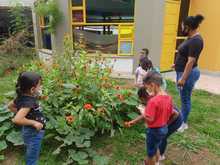 Primera Infancia se prepara con encuentros presenciales