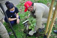 Organismos de la Alcald&iacute;a articulan esfuerzos para recuperar sector entre las carreras 39 y 66