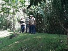 Intervenci&oacute;n al dique de protecci&oacute;n del rio Mel&eacute;ndez  