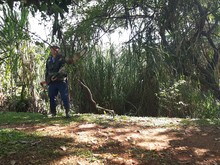 Intervenci&oacute;n al dique de protecci&oacute;n del rio Mel&eacute;ndez  