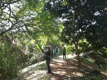 Intervenci&oacute;n al dique de protecci&oacute;n del rio Mel&eacute;ndez  