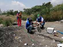   Atender a las familias interespecie de habitantes de la calle es un compromiso con la dignidad