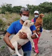  Atender a las familias interespecie de habitantes de la calle es un compromiso con la dignidad