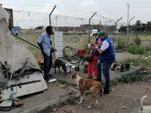  Atender a las familias interespecie de habitantes de la calle es un compromiso con la dignidad