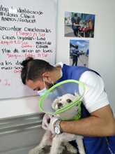  Atender a las familias interespecie de habitantes de la calle es un compromiso con la dignidad