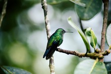 Cali en sinton&iacute;a con el turismo mundial