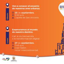 Cali en sinton&iacute;a con el turismo mundial