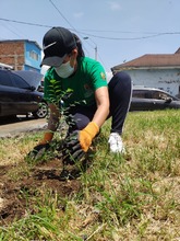 Avanza la recuperaci&oacute;n de la fuente y tramo de la Carrera 15 entre calles 6 y 58  