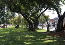 Gobierno cale&ntilde;o recuperar&aacute; corredor verde de la autopista Suroriental