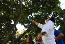 Gobierno cale&ntilde;o recuperar&aacute; corredor verde de la autopista Suroriental